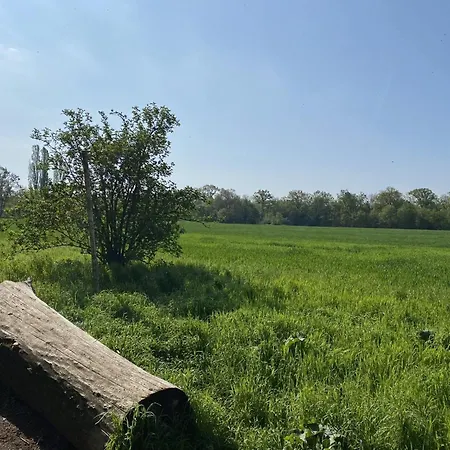 Ferien Am Berliner Mauerweg بيت للعطل