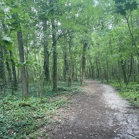 Ferien Am Berliner Mauerweg