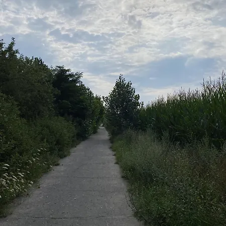 Ferien Am Berliner Mauerweg Dom wakacyjny *