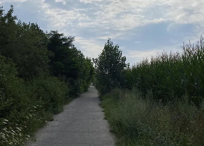 Ferien Am Berliner Mauerweg Prázdninový dům *