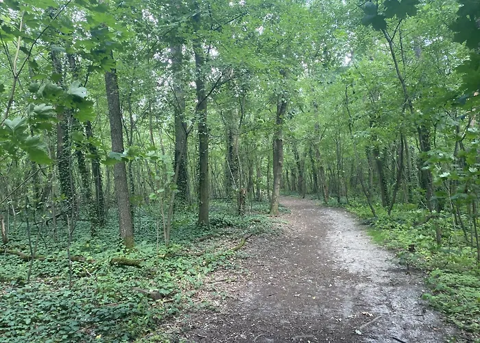 Ferien Am Berliner Mauerweg * Berlín