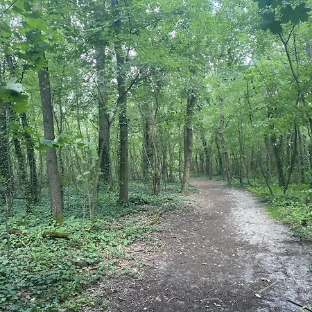 Ferien Am Berliner Mauerweg * Berlin