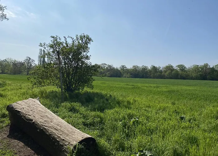 Ferien Am Berliner Mauerweg